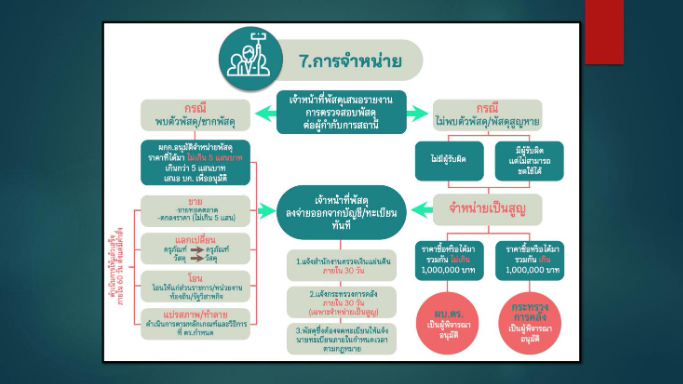 ดาวน์โหลด (7)